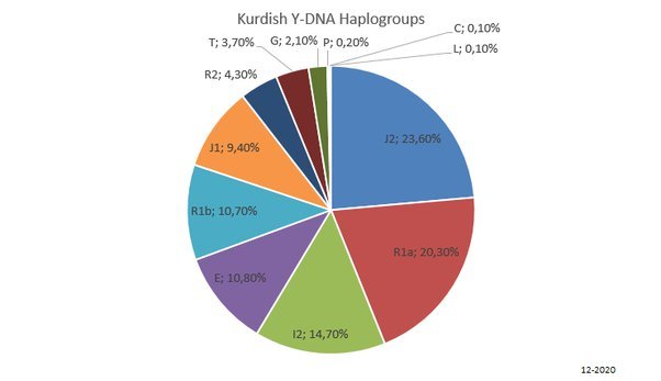 Kürtlere Ait Y-DNA verileri