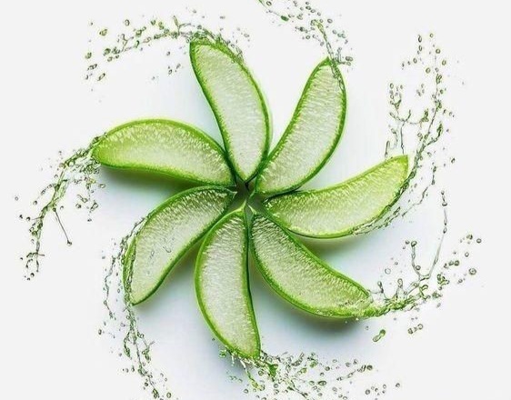 Güzellik ve Cilt Bakımının Mucize Bitkisi Aloe Vera Hakkında Neler Biliyoruz✨️?