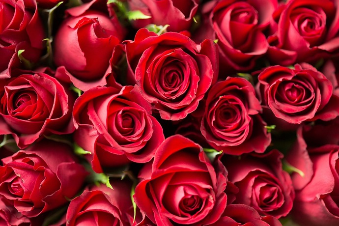 🌹