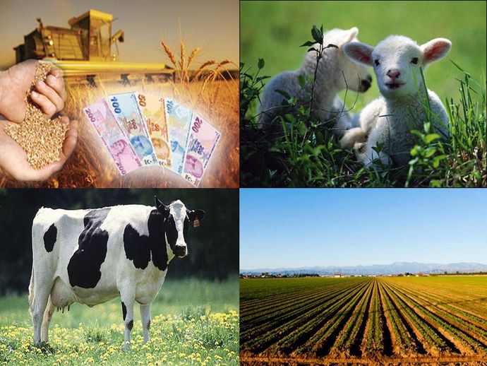 Ekonomik Krizde Para Kazanma Yolları