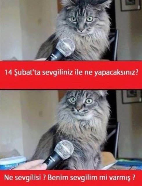 En Yaratıcı ve Komik Sevgililer Günü Capslerini İnceliyoruz!