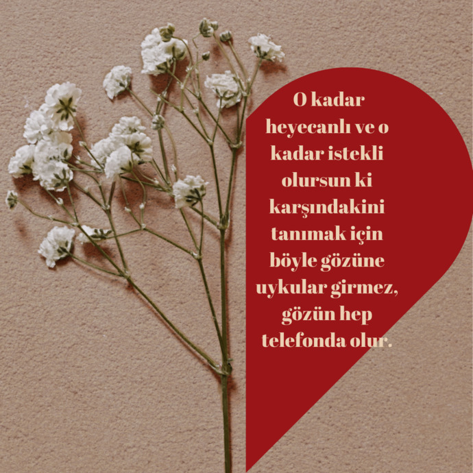 Fenomenlere Sorduk: Aşkın En Güzel Hali İlişkinin Hangi Evresinde Yaşanıyor, Neden?