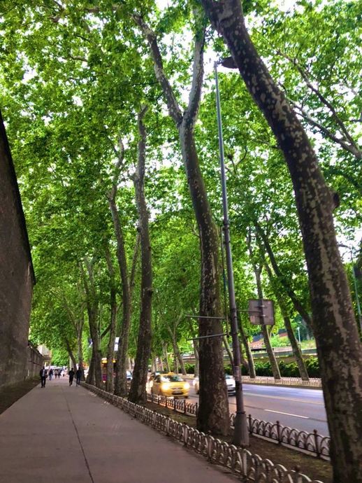 İstanbul Semtlerinin İsimleri Nereden Geliyor