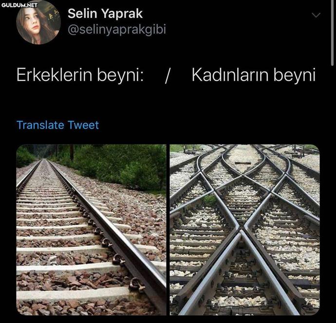 Kadın Beyniyle Erkek Beyninin Farkları ve Sekse Bakışları