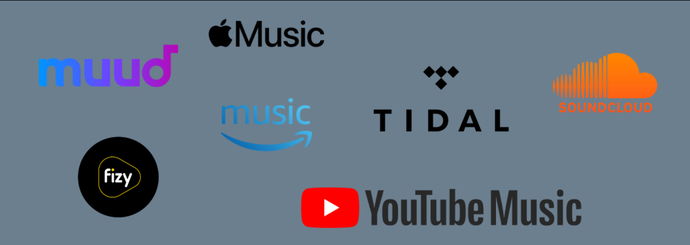 Müzik Yayınlama