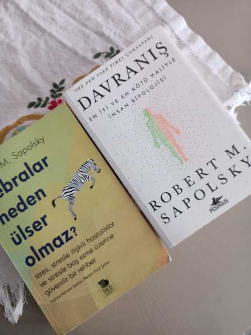 Spolskynin Türkçeye çevrilen iki kitabı
