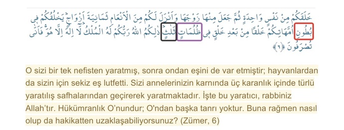 Kuranı Kerime Hiç Bu Gözden Bakmış Mıydınız?