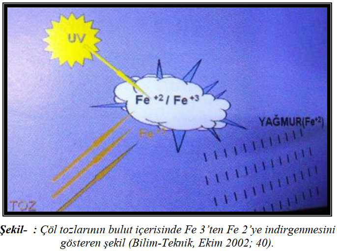 Kuranı Kerime Hiç Bu Gözden Bakmış Mıydınız?
