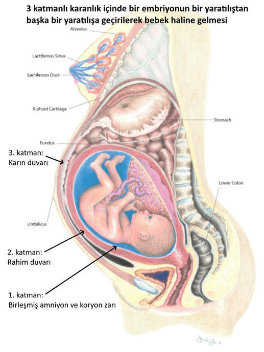 Kuranı Kerime Hiç Bu Gözden Bakmış Mıydınız?