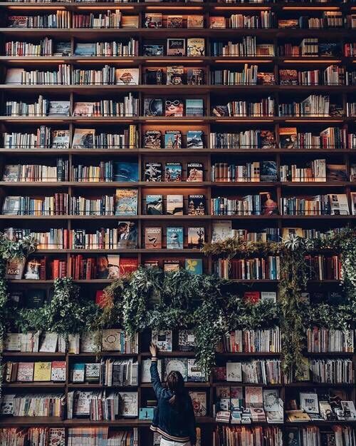 Kitap Okumayı Nasıl Sevebiliriz? Kişisel Taktikler Veriyorum!
