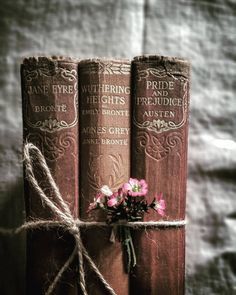 Kitap Okumayı Nasıl Sevebiliriz? Kişisel Taktikler Veriyorum!