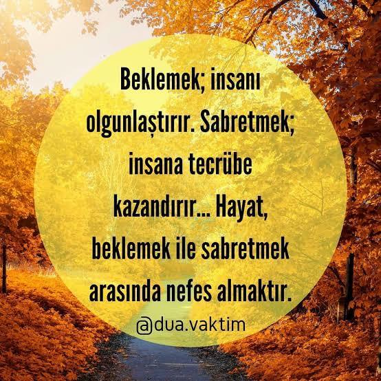 İnsan Ne İle Yaşar Serisi 15: Ben Sordum ángelsinalasyocéano Neler Söyledi?