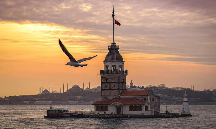İnsan Ne İle Yaşar Serisi 16: Ben Sordum Sosyetic_SheqiiL Neler Söyledi?