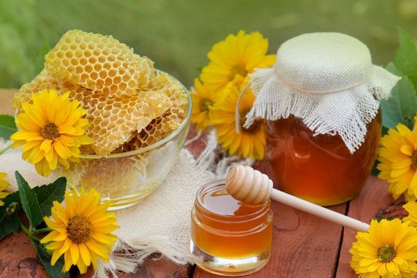 Şifa Kaynağı Olan Balın Faydalarını Konuşuyoruz! 🍯