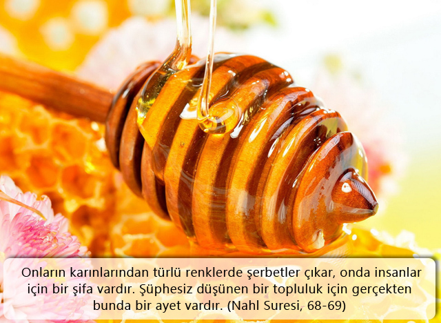 (Nahl Suresi,68-69)