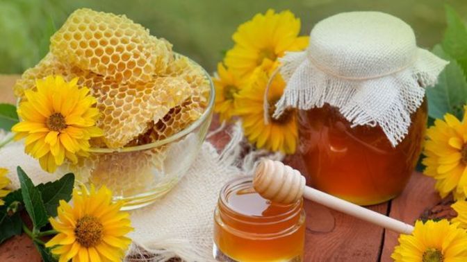 Şifa Kaynağı Olan Balın Faydalarını Konuşuyoruz! 🍯