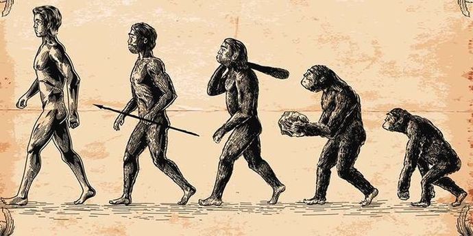 Evrim Teorisi ve İnsan Türlerinin Evrimi: Biyolojik ve Antropolojik Bir İnceleme