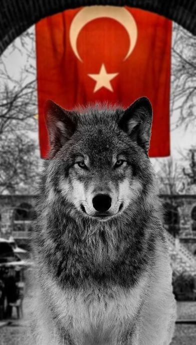 Ülkeler ve Simgelediği Ulusal Hayvanlar