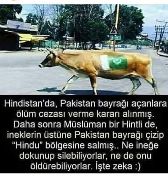 Ülkeler ve Simgelediği Ulusal Hayvanlar