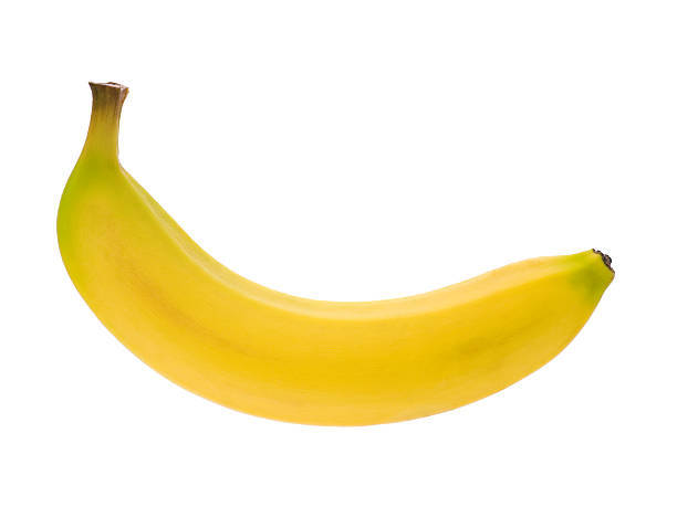 Penis Hakkında Hepinizi Şaşırtacak Bilgiler!
