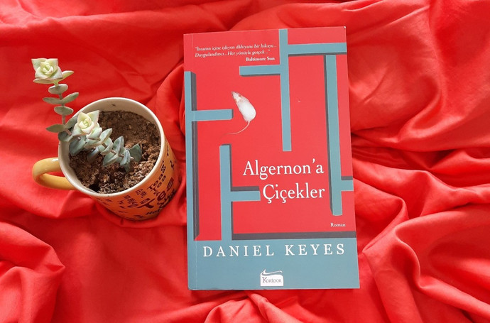 “Bir kitap okurken bile, sayfanın ortasında senin yüzünü görüyorum…”