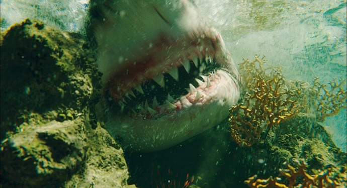 Denizde Hayatta Kalma Mücadelesi: The Shallows Filmini İzliyoruz!