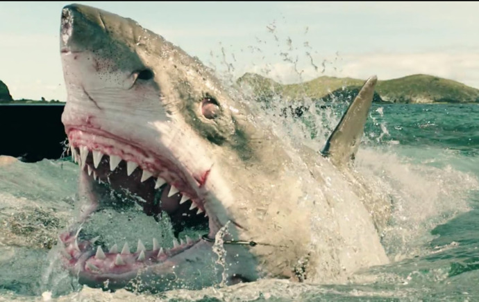 Denizde Hayatta Kalma Mücadelesi: The Shallows Filmini İzliyoruz!