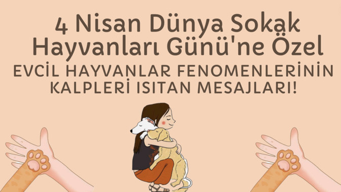 4 Nisan  Dünya Sokak Hayvanları Günü'ne Özel: Evcil Hayvanlar Fenomenlerinin Kalpleri Isıtan Mesajları!