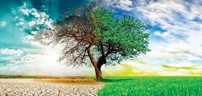 Çevremizi Koruyalım! Poşet Almayın, Atık Kullanımınızı Azaltın!
