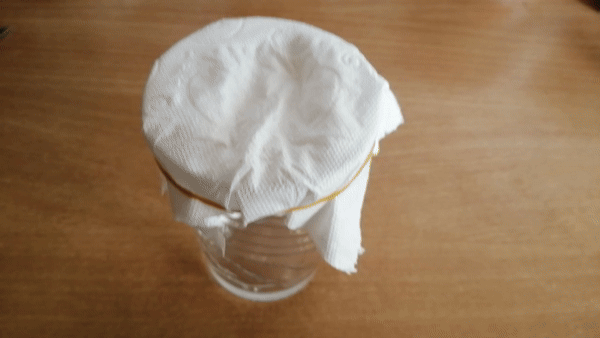 Dayanıklılık testi