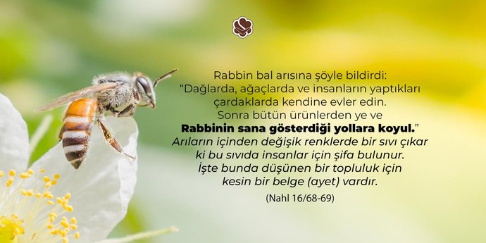 Kuran-ı Kerimde yer alan bal ile ilgili ayet (Nahl 16/68-69)