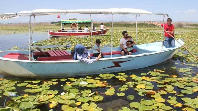 Geziyorum: Beyşehir Gölünde Türkiyenin En Büyük Nilüfer Bahçesi