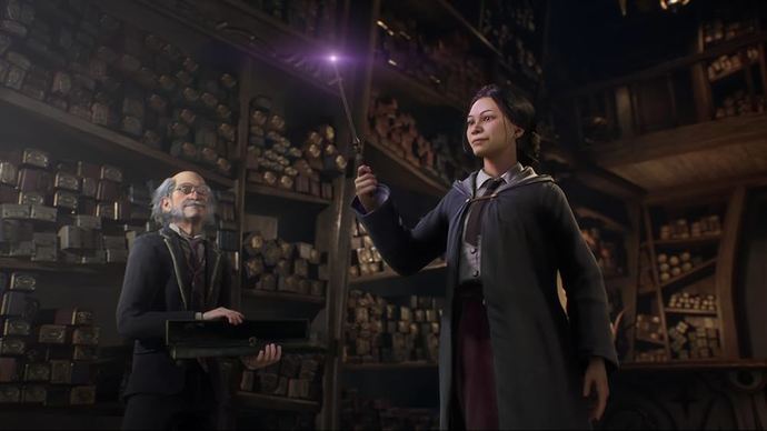 Hogwarts Legacy: Reborn