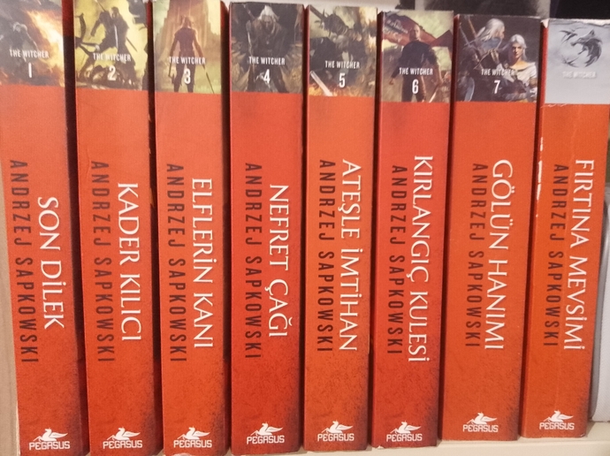 Kitap serisi