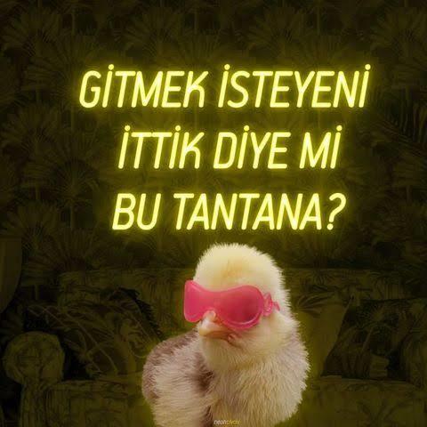 KızlarSoruyor Üyeleri Ve KızlarSoruyorda Bulunma Nedenleri!