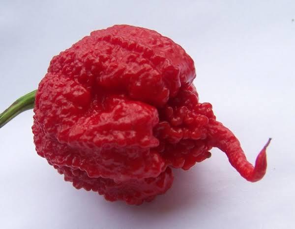 Acı Biberin 4 Önemli Faydası 🌶️