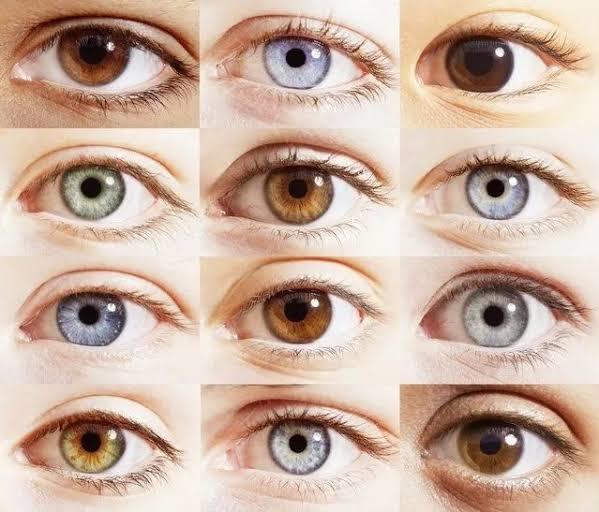 Göz Renginin Belirlenmesinde Melanin ve Genetik Faktörlerin Rolü Nedir?