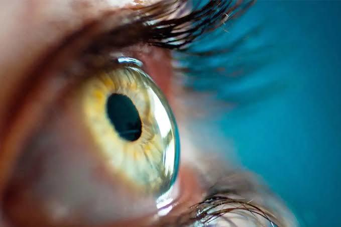 Göz Renginin Belirlenmesinde Melanin ve Genetik Faktörlerin Rolü Nedir?