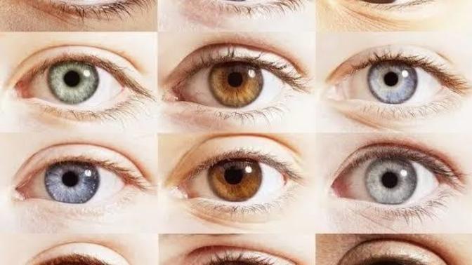 Göz Renginin Belirlenmesinde Melanin ve Genetik Faktörlerin Rolü Nedir?