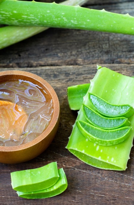 Aloe Veranın Cilde Faydaları Nelerdir?