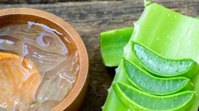 Aloe Veranın Cilde Faydaları Nelerdir?