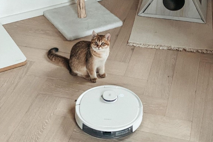 Ev Temizliğinde Teknoloji Rüzgarı: Robot Süpürge Kullanımı Nasıl Olmalı?