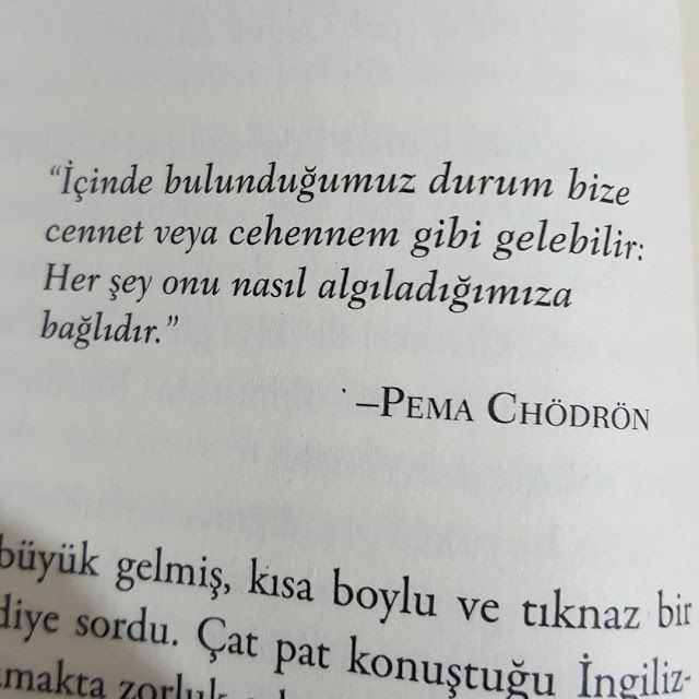 Amerikalı İlk Kadın Keşiş Pema Chödrön Ve Eşsiz Ruhsal Yolculuğu!