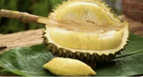 Olgunlaşmış bir durian meyvesinin içi