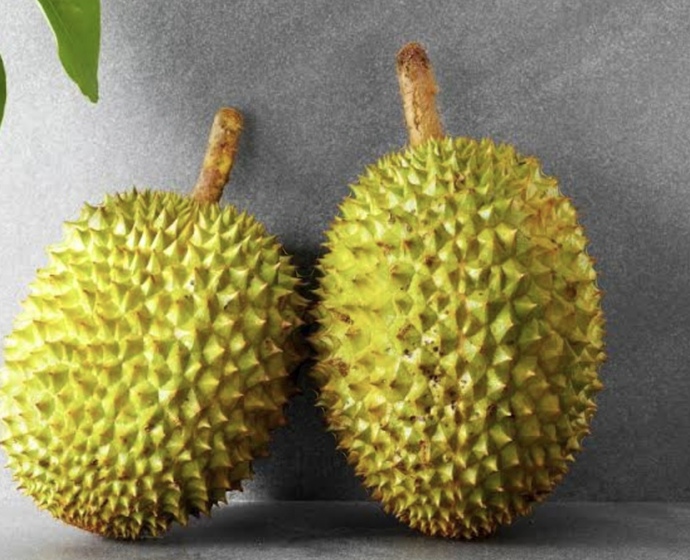 Olgunlaşmış durian meyvesi
