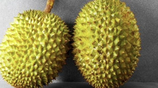 Dünya'nın En Kötü Kokan Meyvesi (Durian)!