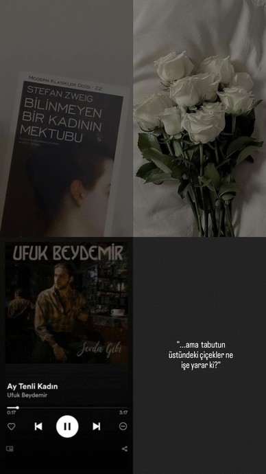Bir Aşkın Sessiz Hikayesi: Bilinmeyen Bir Kadının Mektubuu Neden Okumalısınız?