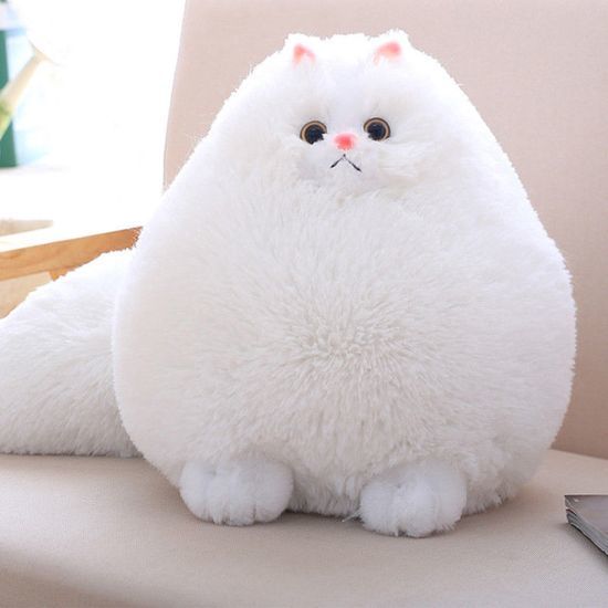 Kedi Aşkınızı Hortlatacak Görseller Paylaşıyorum: Miavvv!