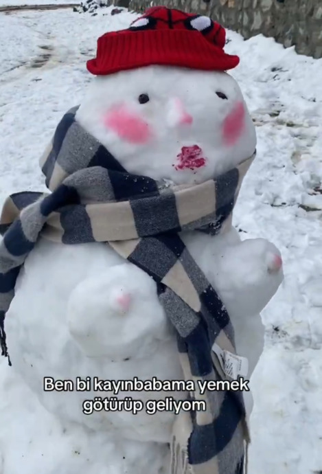 Kar Yağdı, Türkiyenin Dört Bir Yanında Eserler Güldürdü! Favorin hangisi?