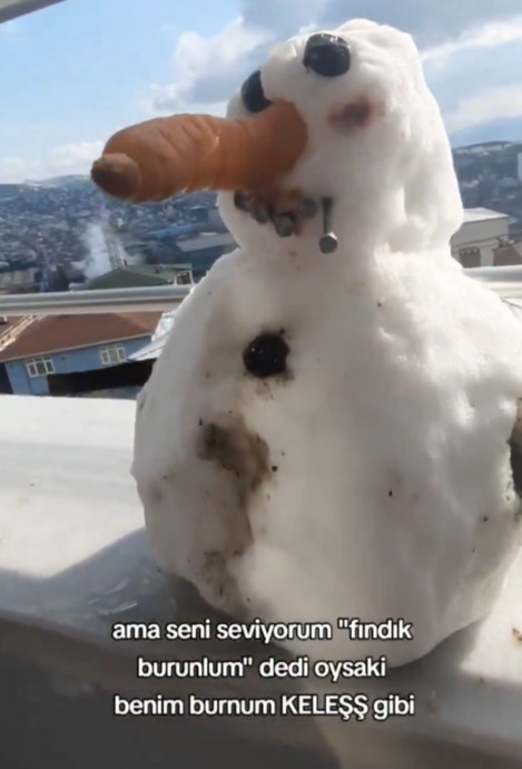 Kar Yağdı, Türkiyenin Dört Bir Yanında Eserler Güldürdü! Favorin hangisi?
